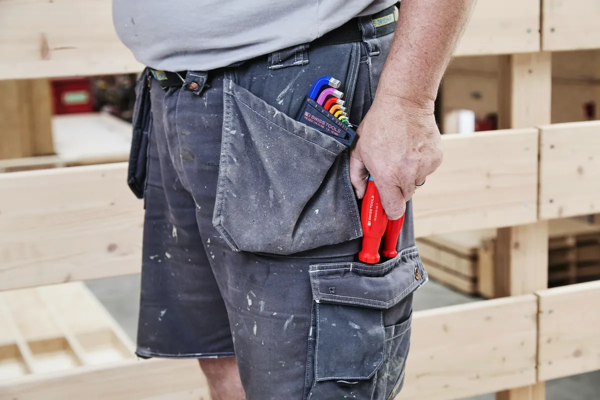 Tradesman with professional tools